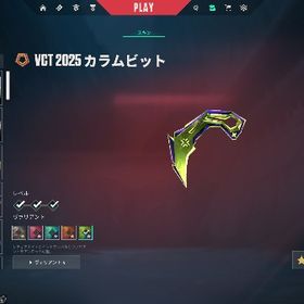 ⭐️最終値下げ⭐️ 2025チャンピオンナイフ所持！課金ナイフ6種！ヴァンダル7種！ 課金額20万↑ | VALORANT(ヴァロラント)のアカウントデータ、RMTの販売・買取一覧