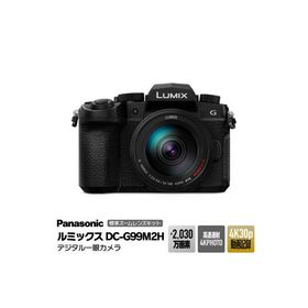 ふるさと納税 門真市 パナソニック デジタルカメラ ルミックス DC-G99M2H