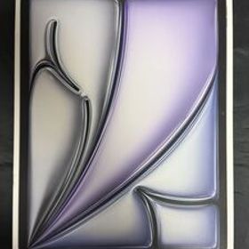 【美品】iPad Air 13インチ M2 512GB スペースグレイ セルラー docomo