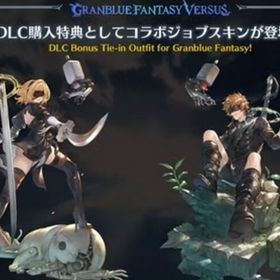 スキン 「2B/9S」 スキン 「2B/9S」 GBVSRGBVSR DLC ニーアコラボ 購入特典 | グラブルのアカウントデータ、RMTの販売・買取一覧