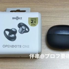 【試聴のみ】Shokz OpenDots ONE イヤーカフ型ワイヤレスイヤホン
