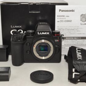 【特上品】 パナソニック Panasonic ルミックス DC-G9M2 ＃8743