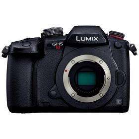 パナソニック デジタル一眼カメラ LUMIX DC-GH5S ボディ