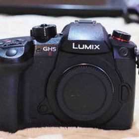 新品同様 50ショット回数前後 Panasonic LUMIX GH5II ボディ ブラック [DC-GH5M2-K] 防湿庫保管。