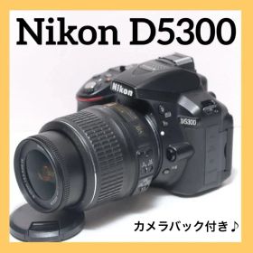 Wi-Fi機能搭載✨Nikon D5300✨シングルレンズ✨イルミネーション撮影