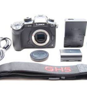 ★極上美品 ショット数134回 パナソニック ミラーレス一眼カメラ ルミックス GH5 ボディ ブラック DC-GH5-K★