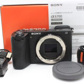 6333ショット！SONY(ソニー) APS-C ミラーレス一眼カメラ α6700 ボディ