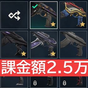 【在庫処分セール🔥 】課金額2.5万↑ 40スキン | VALORANT(ヴァロラント)のアカウントデータ、RMTの販売・買取一覧