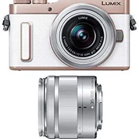 【中古】(非常に良い)パナソニック ミラーレス一眼カメラ ルミックス GF10 ダブルレンズキット 標準ズームレンズ/望遠ズームレンズ付属 ホワイト DC-GF10WA-W