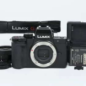 【美品】 Panasonic LUMIX DC-G100 レンズキット