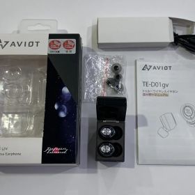 AVIOT アヴィオット TE-D01GV トゥルー ワイヤレスイヤホン 箱・付属品付 ブラック