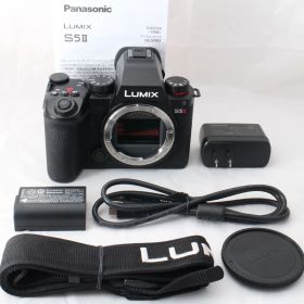 ☆美品・ショット数7675☆ Panasonic LUMIX S5II ボディ DC-S5M2 パナソニック ルミックス フルサイズミラーレス一眼カメラ S5 II #4226