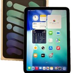 iPad mini A17 Pro Wi-Fi 128GB スペースグレイ 2024年モデル Apple