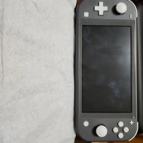 Nintendo Switch Lite グレー 本体