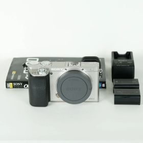 [並品｜シャッター数29,596回] SONY α6000（ILCE-6000） [ボディ シルバー] / ソニーEマウント