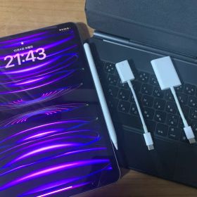 iPad Pro 11インチ 256gb 第4世代 wifiモデル