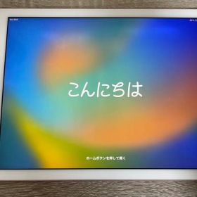 iPad Pro (9.7インチ) 128GB
