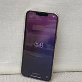 IPHONE 13 PRO MLUQ3J/A APPLE