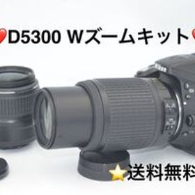 NIKON D5300 Wズームキット