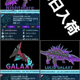 RARE SUPPORT 本日入荷12/5 | ARK Survival Evolvedのアカウントデータ、RMTの販売・買取一覧