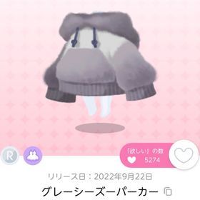 【在庫ラスト】DFグレーシーズーパーカー セット | ポケコロツイン(ポケツイ)のアイテム、RMTの販売・買取一覧