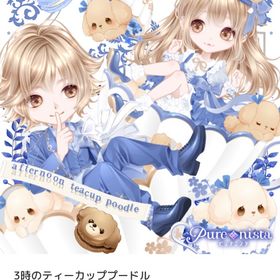 3時のティーカッププードル バラ売り | ピュアニスタのアイテム、RMTの販売・買取一覧