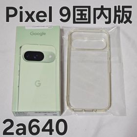 Google Pixel 9 128GB Winter Green 国内版