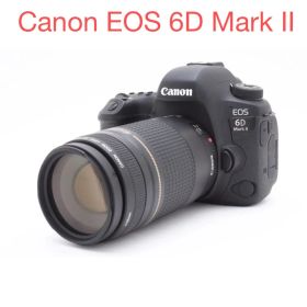 Canon EOS 6D Mark II/ Canon EF75-300mm