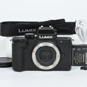 【超美品】 パナソニック Panasonic LUMIX DC-G100 ボディ