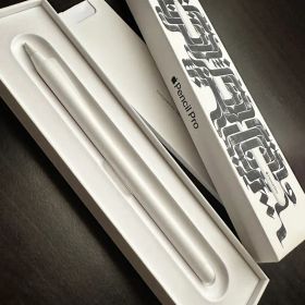 Apple Pencil Pro シルバー 箱付き(M2-M4)