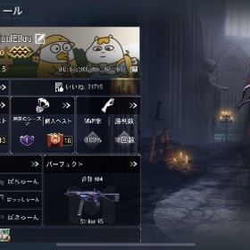 引退アカウント 全キャラコンプ 完凸多数 | CoDモバイルのアカウントデータ、RMTの販売・買取一覧