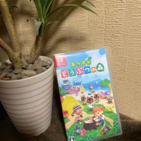 【Switch】あつまれ どうぶつの森