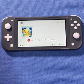 Switchライト グレー