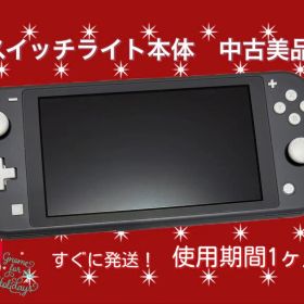 Nintendo Switch Lite 本体 グレー 中古美品 スイッチライト