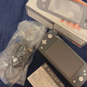 Nintendo Switch Lite グレー 本体