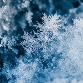 ラファウ様専用 | ポケコロのアイテム、RMTの販売・買取一覧