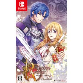 新品 Nintendo Switch Princess Arthur R for Nintendo Switch