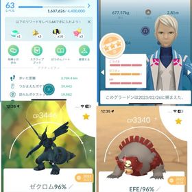 TL63 引退垢 | ポケモンGOのアカウントデータ、RMTの販売・買取一覧