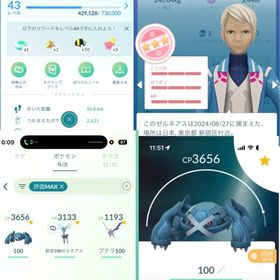初心者やサブ垢や交換垢にオススメ | ポケモンGOのアカウントデータ、RMTの販売・買取一覧