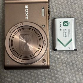 SONY サイバーショット DSC-WX300 12051