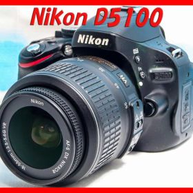 ニコン Nikon D5100⭐️スマホに転送⭐️自撮り＆動画OK⭐️初心者歓迎
