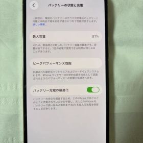 Apple iPhone 14 Pro本体初期化済み