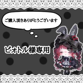 ピォトル様専用 | ピグパ(ピグパーティ)のアカウントデータ、RMTの販売・買取一覧