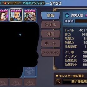 光闇10体 | サマナーズウォーのアカウントデータ、RMTの販売・買取一覧