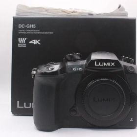 ★良品★パナソニック PANASONIC LUMIX DC-GH5 #0556@e RO3474