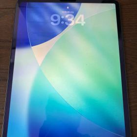 Apple iPad pro 第3世代 12.9インチ スペースグレー 本体