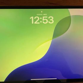 iPad Pro 12.9 第4世代 512GB シルバー