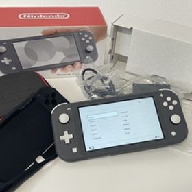 任天堂 ニンテンドー Switch rite グレー HDH-S-GAZAA 専用ケース、ラバー、箱付 通電確認済み