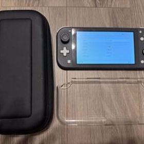任天堂 Nintendo Switch Lite グレー 動作品 スイッチライト