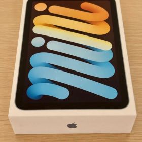 iPad mini （A17 Pro） 128GB Wi-Fi ブルー 第7世代